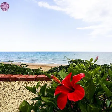 Casa La Conchiglia Sulla Holiday home